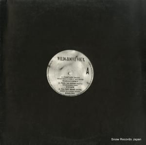 V/A - wildgroove vol.4 - WG004