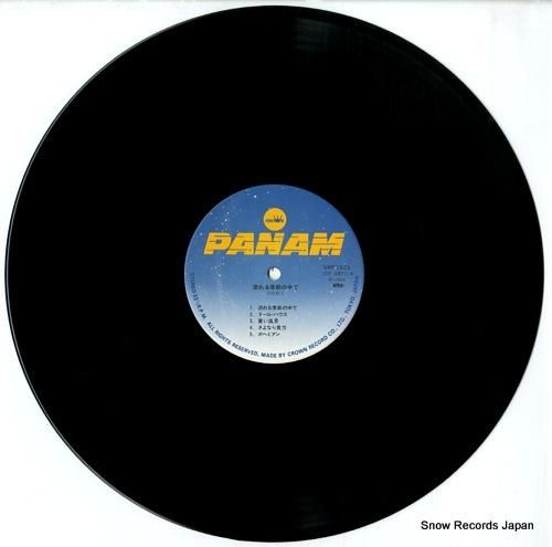 沢田聖子 - 流れる季節の中で