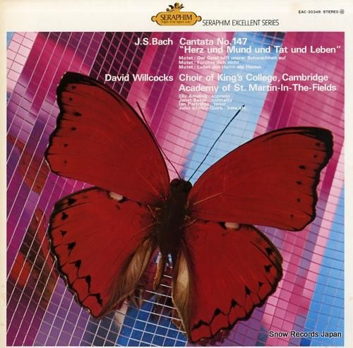 デイヴィッド・ウィルコックス