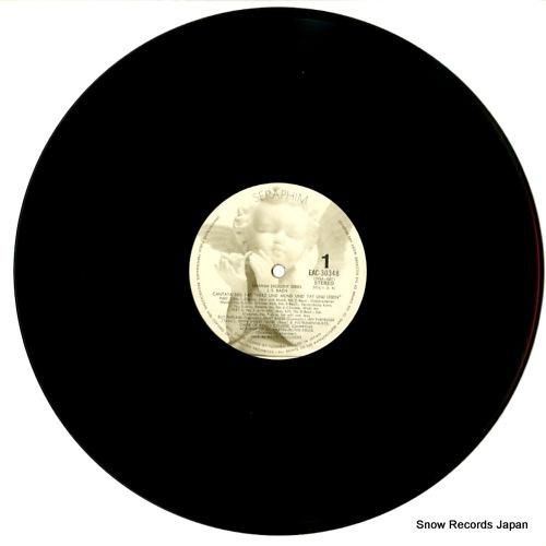 デイヴィッド・ウィルコックス