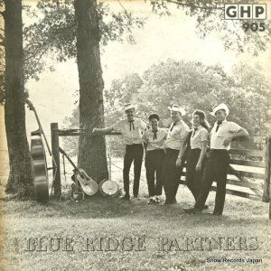 THE BLUE RIDGE PARTNERS - the blue ridge partners - GHP905