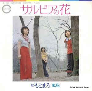 もとまろ - サルビアの花 - A-101