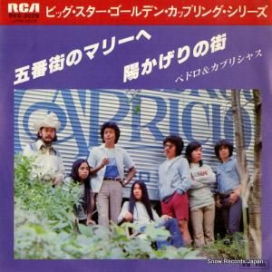 ڥɥץꥷ㥹 - ֳΥޥ꡼ - RVS-2029