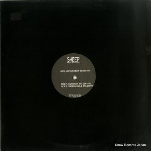 RAOUL DELGARDO / DAVID PAXTON - new york remix sessions - SH14
