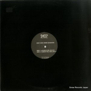 RAOUL DELGARDO / DAVID PAXTON - new york remix sessions - SH14