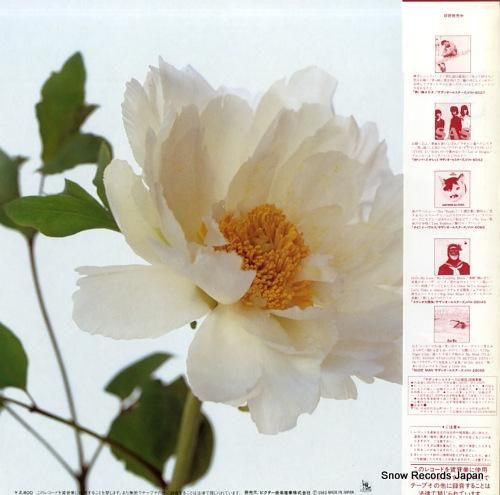 サザンオールスターズ - 綺麗