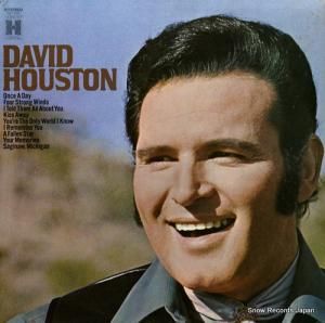 ǥӥåɡҥ塼ȥ - david houston - HS11412