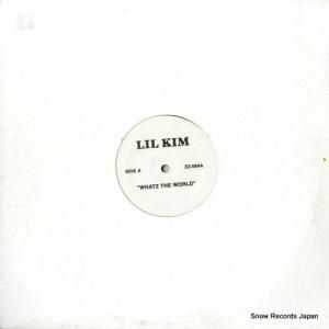 롦ࡿDMX - whatz the world / "fyck yall" dissin jarule - ZZ-084