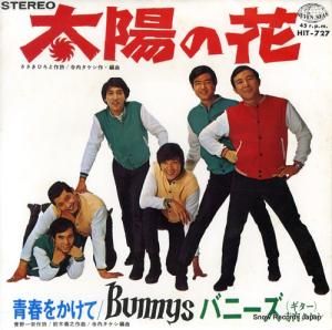 バニーズ - 太陽の花 - HIT-727