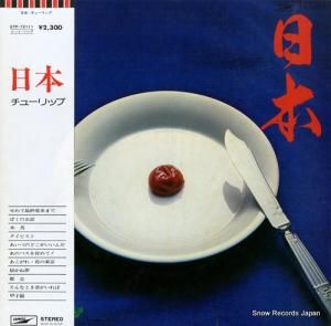 チューリップ - 日本 - ETP-72111