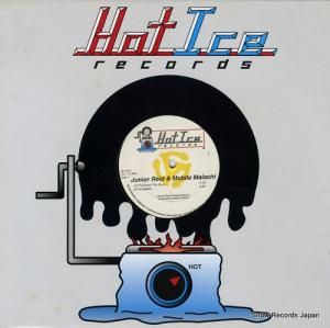 ˥꡼ɡåͥ put down the gun / mama love HI-5007