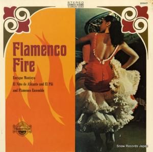 ꥱȡ - flamenco fire - TR2087