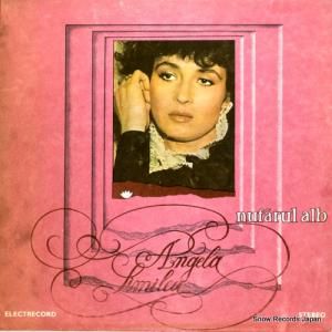 󥸥顦ߥ쥢 nufarul alb ST-EDE02279