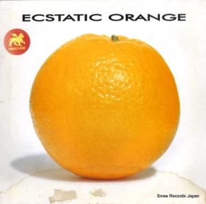 ECSTATIC ORANGE world keeps spinning PGTT30