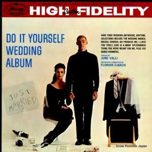 塼󡦥 do it yourself wedding album MG20463