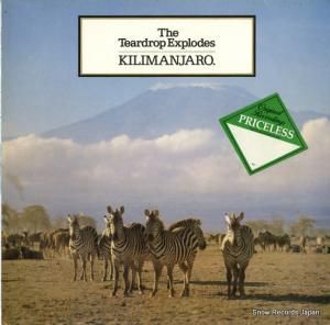 ƥɥåסץ kilimanjaro PRICE59