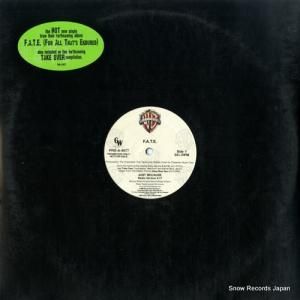 F.A.T.E. just because PRO-A-9977