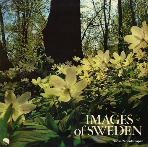 ベンクト・ハルベルク imag