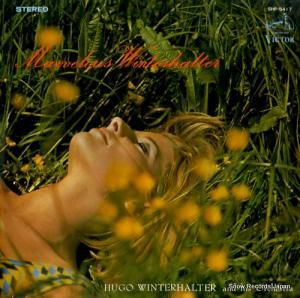 桼󥿡ϥ륿 ǮΥ󥿡ϥ륿 SHP-5417