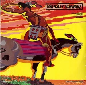 ֥󥺥꡼奦 brinsley schwarz SWBC-11869