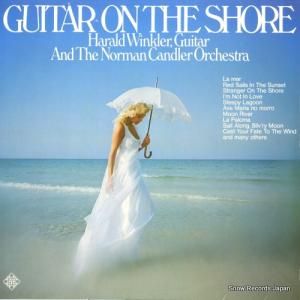 إɡ󥯥顼 guitar on the shore 6.22458