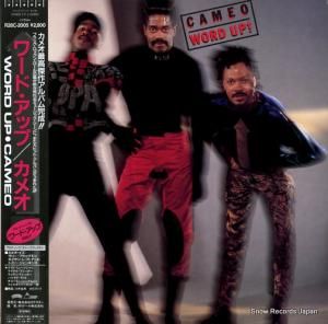 ᥪ ɡå R28C-2005