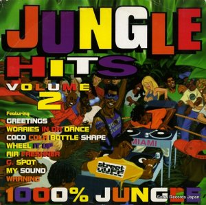 V/A - jungle hits volume 2 - STRLP2