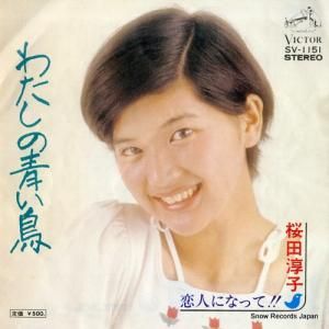 Ľ߻ - 錄ĤĻ - SV-1151