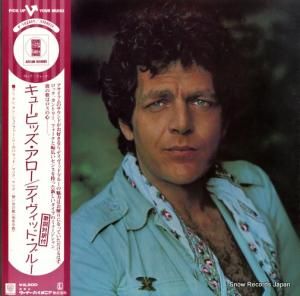 ǥӥåȡ֥롼 塼ԥå P-10248Y