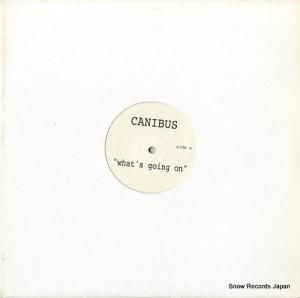 CANIBUS - what's going on - S39113