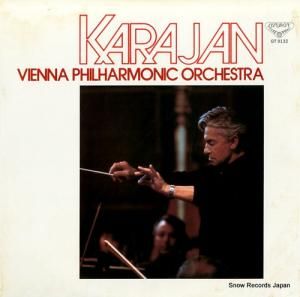 إ٥ȡե󡦥 - 㥤եᥪȥꥨå - GT9132