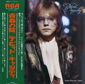 デビッド・キャシディ - 青春の館 - RVP-6036