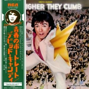 デビッド・キャシディ - 青春のポートレート - RCA-6313