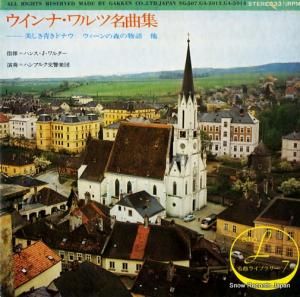 ϥ󥹡J륿 - ʡ̾ʽ - GA-5013