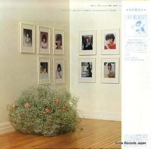 柏原芳恵 - ギャラリー -