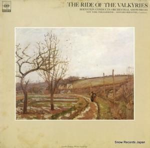 ʡɡС󥹥 - ʡڷ֥륭塼פ륭塼ε - FCCA406