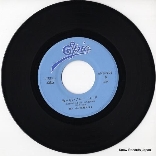 小比類巻かほる - 飛べないブ