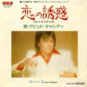 デビッド・キャシディ - 恋の誘惑 - SS-2478