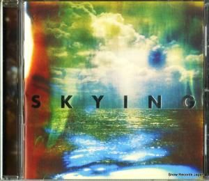 CD: ザ・ホラーズ - skying - XLCD539