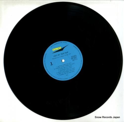 チューリップ - ライヴ アク