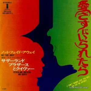 ɡ֥饶ȥ ˤ줿 HIT-5017