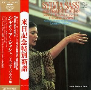 㥷 - ɥޥƥåꥢ - SLA1222