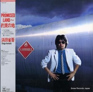 ľʸ - promised land « - 28AH1499