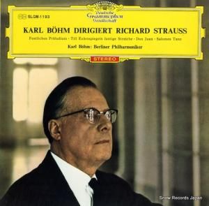 롦١ - ҥȡȥ饦̾齸 - SLGM-1193