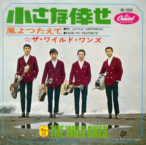 ザ・ワイルド・ワンズ - 小さ