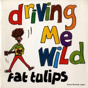 եåȡ塼åץ - driving me wild - PAD11