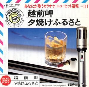 ƥȥ - ̨ - RS-1259