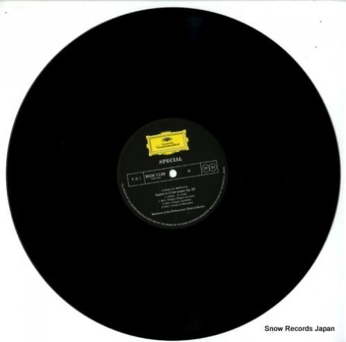 ベルリン・フィルハーモニー八重