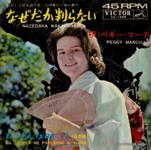 ڥޡ - ʤȽʤܸס - SS-1488