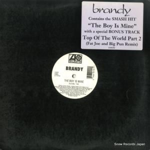 ブランディ the boy is mine 0-84192
